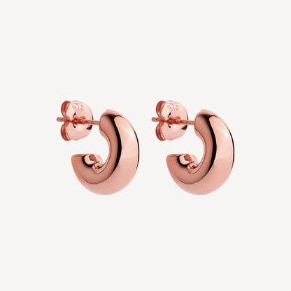 Moonbow Stud Silver Earrings 9